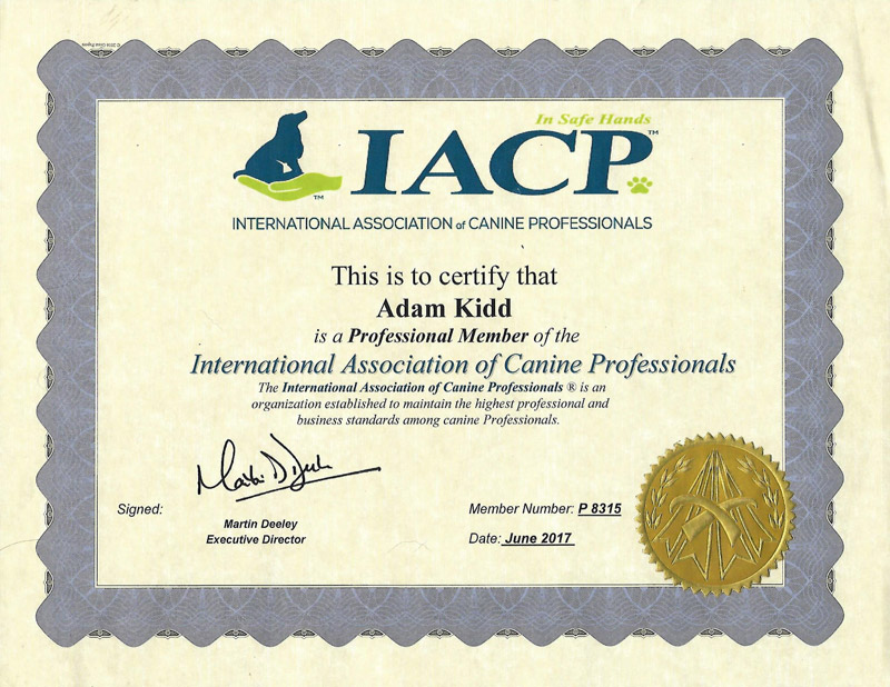 International Association of Canine Professionals certification #P8315