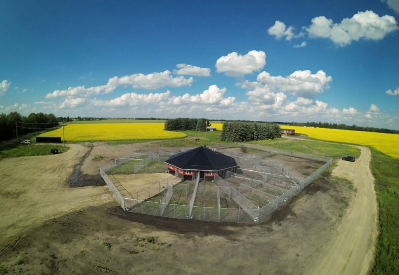 Panoptic aerial view of 780 Kennels during Summer. Panoptic aerial view of 780 Kennels during Summer.