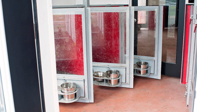 Alberta residential grade interior kennel design: plexiglass doors, raised swivel feeding trays, puck board walls. Alberta residential grade interior kennel design: plexiglass doors, raised swivel feeding trays, puck board walls.
