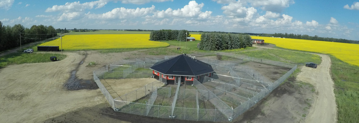 780's dog kennels in the Edmonton area, AB, Canada.