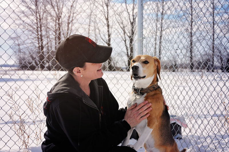 Beagle pets with staff attendee. Beagle pets with staff attendee.