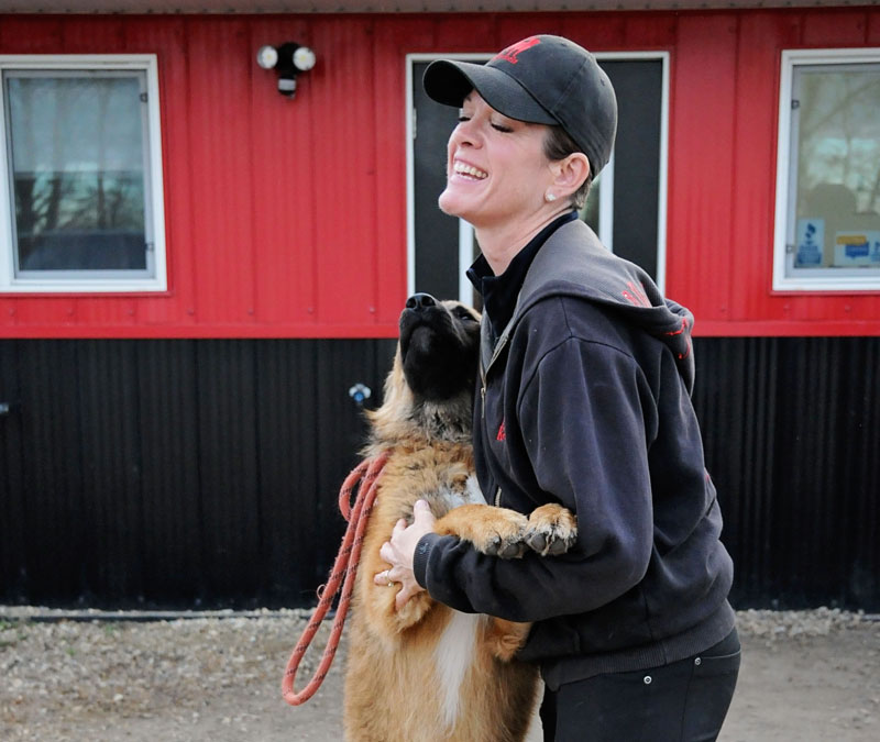 Canine enrichment human bonding. Canine enrichment human bonding.