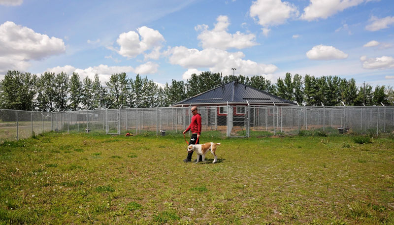 Dog boarding & training consultation at 780 Kennels. Dog boarding & training consultation at 780 Kennels.