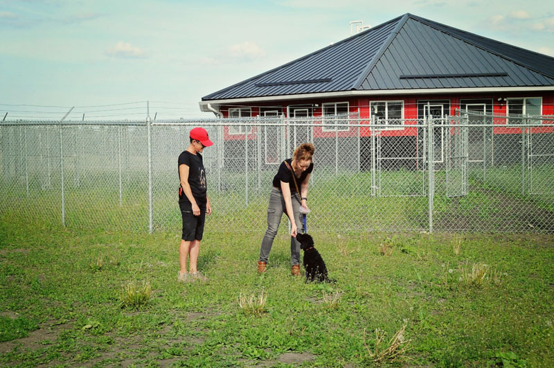 Dog trainer assisting the sit command at 780 Kennels. Dog trainer assisting the sit command at 780 Kennels.