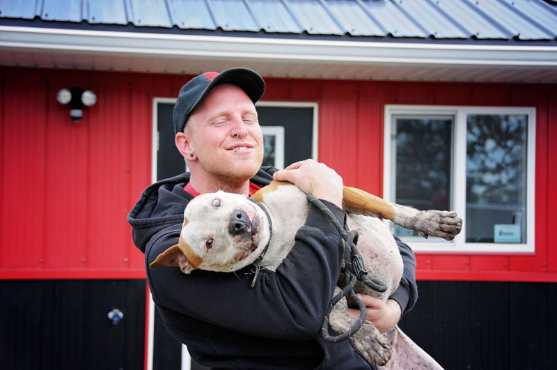Dog trainer bonding with Pitbull mix at 780 Kennels. Dog trainer bonding with Pitbull mix at 780 Kennels.