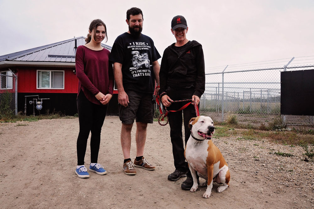 Evening behavior classes with a family & their Pit bull. Evening behavior classes with a family & their Pit bull.