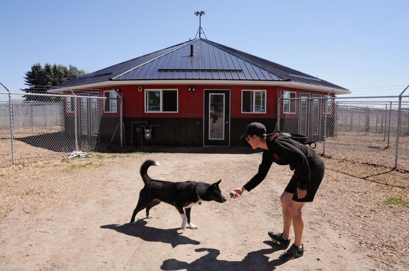 Fetch lessons at 780 Kennels. Fetch lessons at 780 Kennels.