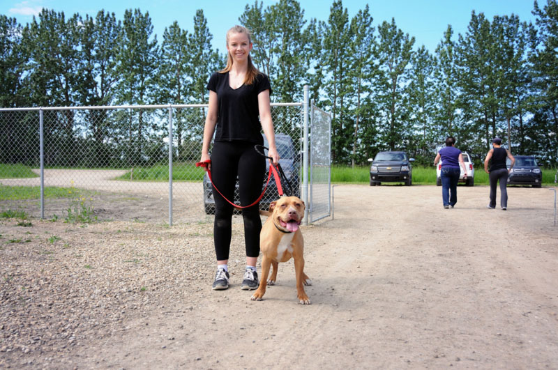 Heel lessons on a walk. Heel lessons on a walk.