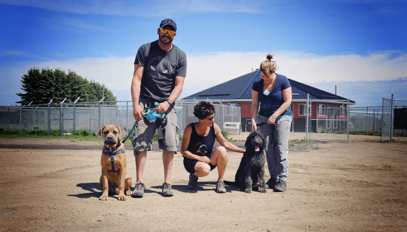 Membership brings guardians, pets, and caregivers together at 780 Kennels. Membership brings guardians, pets, and caregivers together at 780 Kennels.