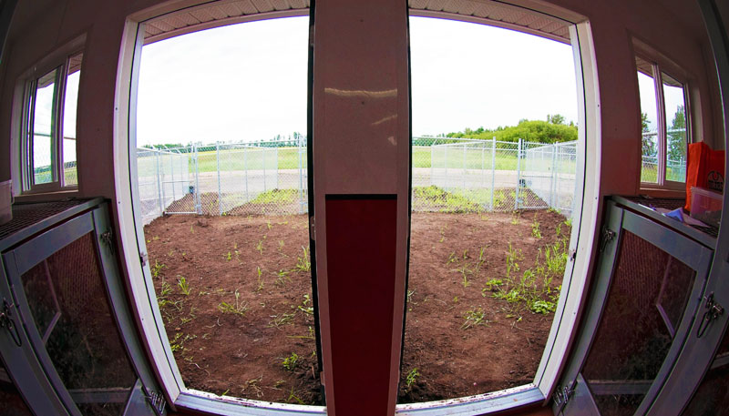 Private indoor boarding spaces & outdoor exercise areas in channelized fencing on country soil. Private indoor boarding spaces & outdoor exercise areas in channelized fencing on country soil.