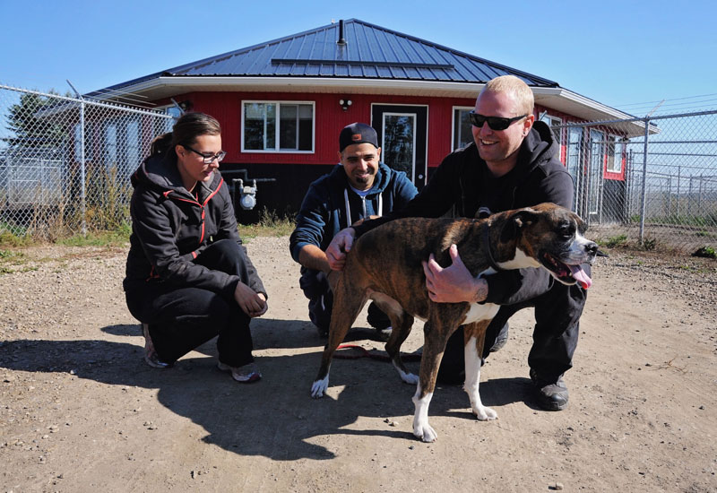 Special needs enrichment options being fulfilled by kennel attendants at 780. Special needs enrichment options being fulfilled by kennel attendants at 780.