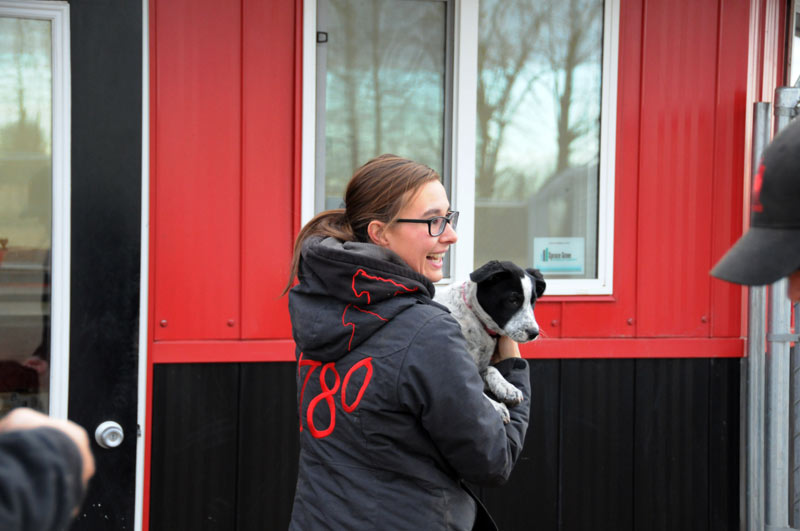 Staff carrying Blue Heeler puppy outside 780 facilities. Staff carrying Blue Heeler puppy outside 780 facilities.